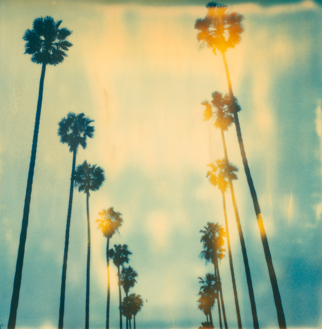 Stefanie Schneider, ‘Palm Trees on Wilcox’, 1999, Photography, Digital C-Print based on a Polaroid, mounted on Dibond with matte UV-Protection, Instantdreams