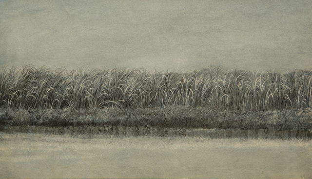 Tomás Sánchez, ‘El Canaveral’, 1982, Mixed Media, Mixed Media on Paper, Latin Art Core