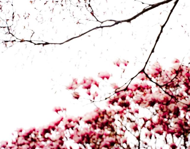 Philippe Cheng