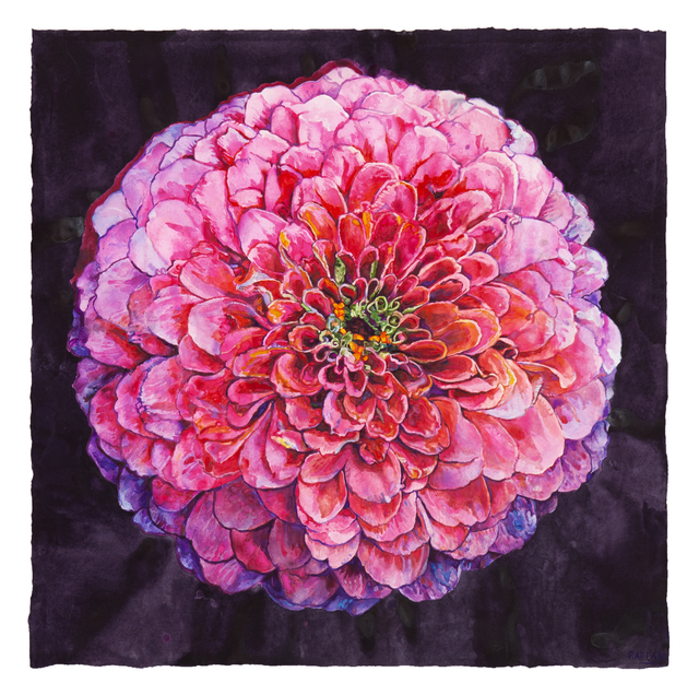 Joseph Raffael, ‘Zinnia’, 2018, Painting, Watercolor on paper, Nancy Hoffman Gallery