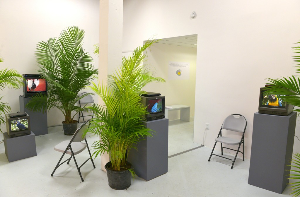 Genesis According to Parrots, installation view Genesis According to Parrots, installation view