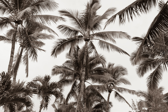 Jessica Nugent, ‘Tropical Breeze No1’, 2020, ArtStar