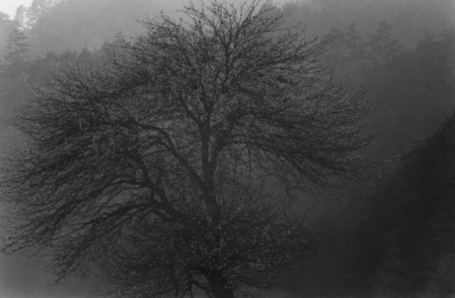 Lee Gap-chul, ‘Bonghwa’, 2004, Photography, Three Shadows +3 Gallery
