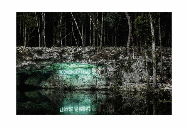 Olivia Steele, ‘The Civilized Live in the Wild’, 2017, Photography, Cotton Paper 190 grs. Hahnemuhle, William Turner, MAIA Contemporary