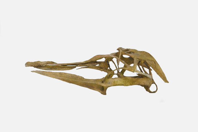 Ming Fay 費明杰, ‘Bird Skull’, 1996, Sapar Contemporary