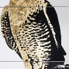 Tim Bengel