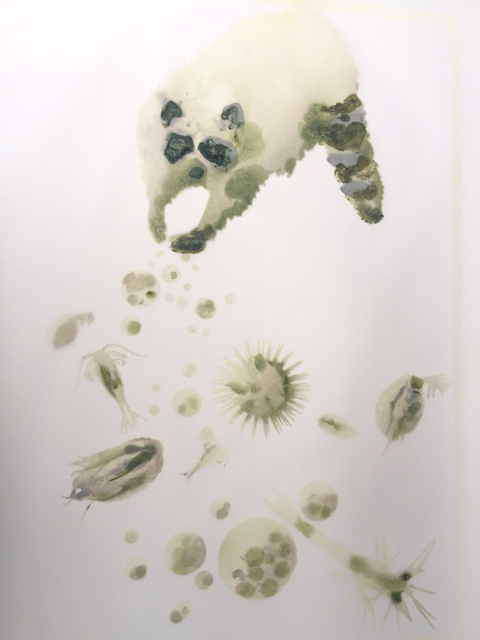 Alexis Rockman, ‘Vernal Pond II’, 2015, Carolina Nitsch Contemporary Art