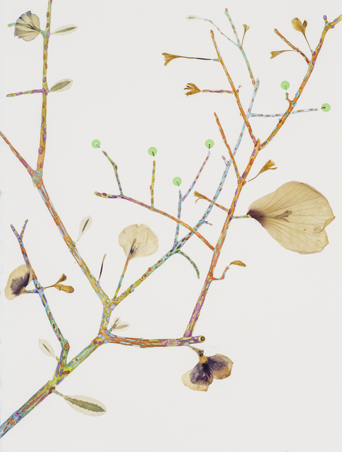 Marilla Palmer, ‘The Large Petal’, 2016, Kathryn Markel Fine Arts