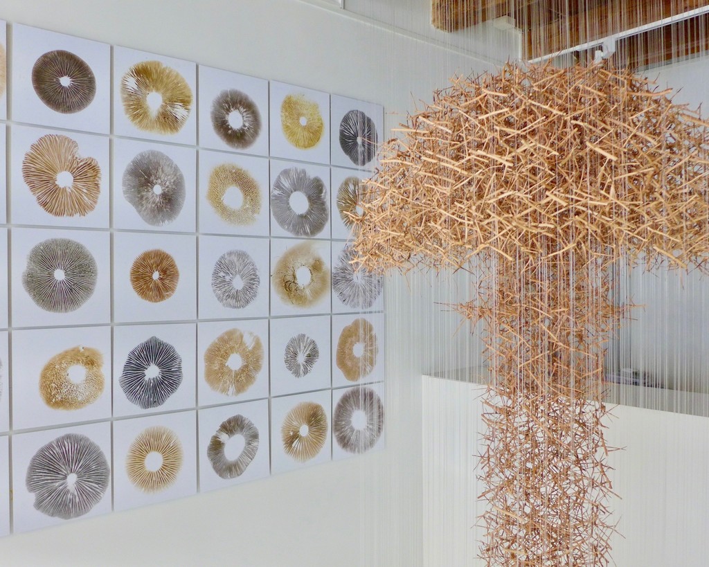 Installation view of "Cloud of Thorns" "Spore Grid" Installation view of "Cloud of Thorns" "Spore Grid"