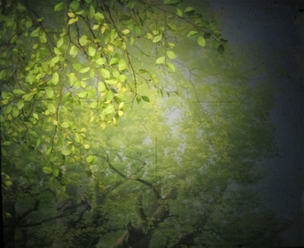 Virginia Inés vergara, ‘Glass scape’, 2016, Tambaran
