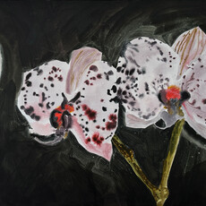 Ruschka du Toit