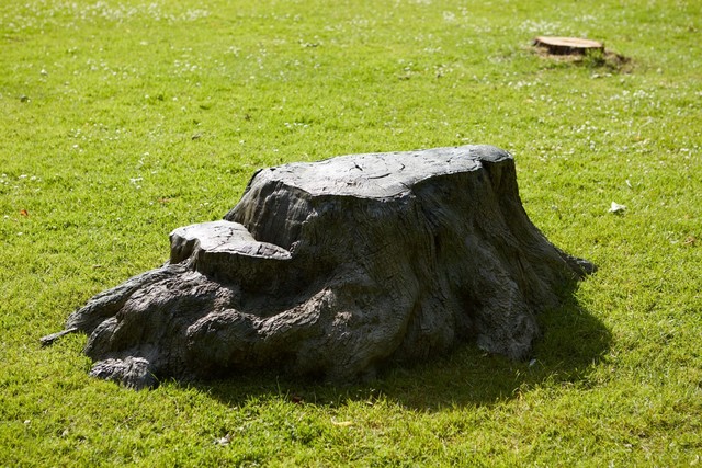 Rob and Nick Carter, ‘Bronze Tree Stump’, 2016, Sculpture, Patinated bronze, Ben Brown Fine Arts