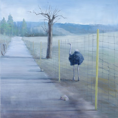 Peter Busch