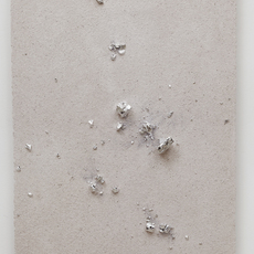 Zhan Wang