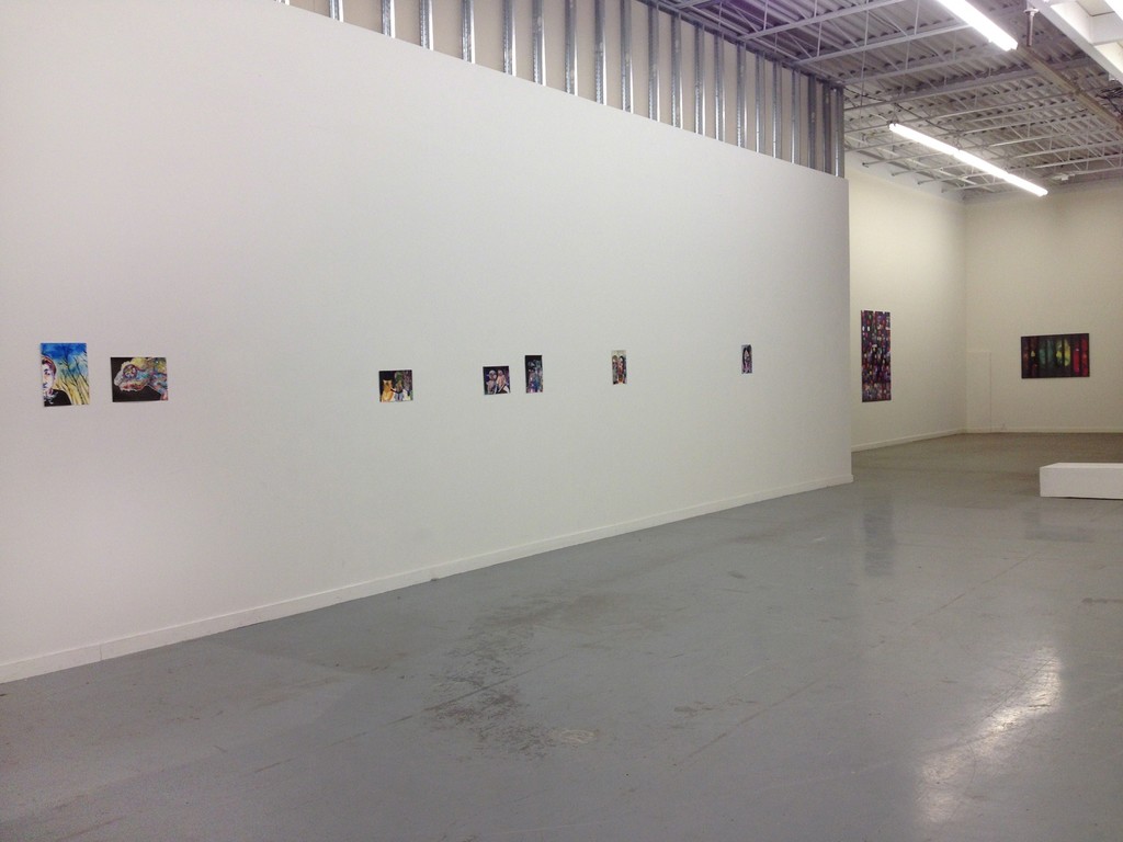 Installation view, Chameleon, 2016. Installation view, Chameleon, 2016.