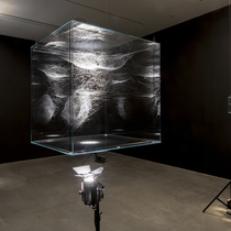 Installation view of "Architecture of Life" at UC Berkeley Art Museum and Pacific Film Archive, Berkeley (2016) Installation view of "Architecture of Life" at UC Berkeley Art Museum and Pacific Film Archive, Berkeley (2016)