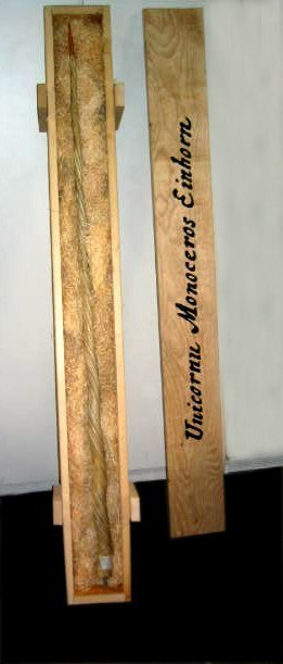 Mark Dion, ‘My Most Priceless Treasure (unicorn)’, 2004, Sculpture, Mixed Media, Kunzt Gallery
