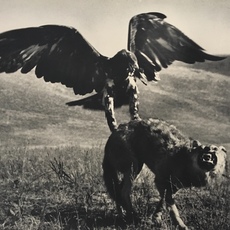 Max Alpert
