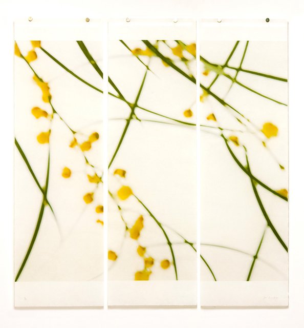Jeri Eisenberg, ‘Acacia, No.1 (triptych)’, 2018, Carrie Haddad Gallery