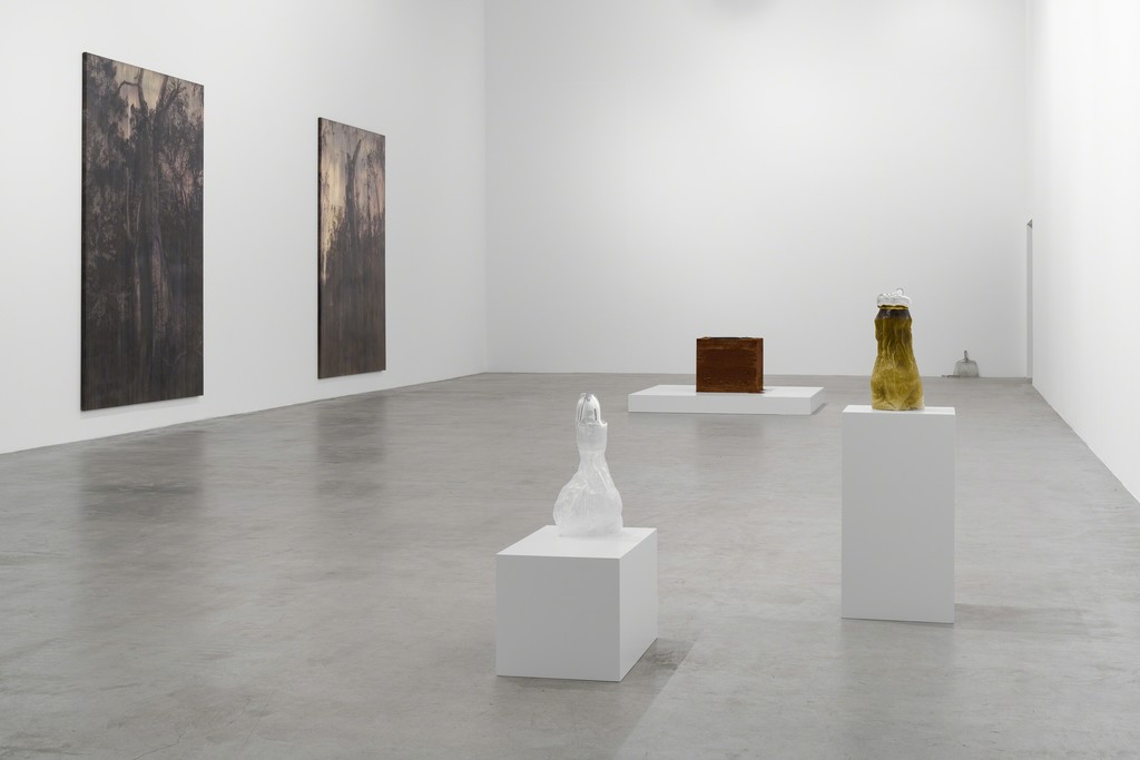 Michael Joo, Simultaneity Biases, Installation View, 2018, Courtesy the artist and Blain|Southern, Photo: Trevor Good Michael Joo, Simultaneity Biases, Installation View, 2018, Courtesy the artist and Blain|Southern, Photo: Trevor Good