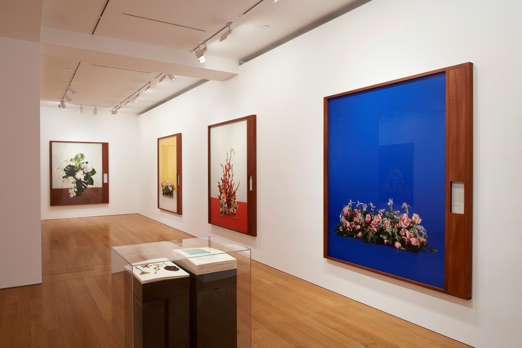 Installation view, "Taryn Simon: Portraits and Surrogates" at Gagosian Hong Kong, May 25 to August 5, 2017. Courtesy Gagosian. Artworks ©Taryn Simon. Installation view, "Taryn Simon: Portraits and Surrogates" at Gagosian Hong Kong, May 25 to August 5, 2017. Courtesy Gagosian. Artworks ©Taryn Simon.