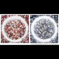 Takashi Murakami - 1. Ensō: Memento Mori Red / 2. Ensō: Memento Mori Red on Blue