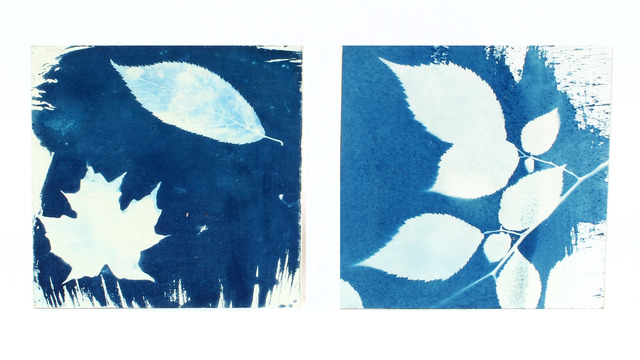Kathleen Sherin, ‘Elm and maple (diptych)’, 2020, Print, Cyanotype on paper mounted on birch panels, Resource Art