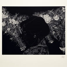 Leng Bing-Chuan