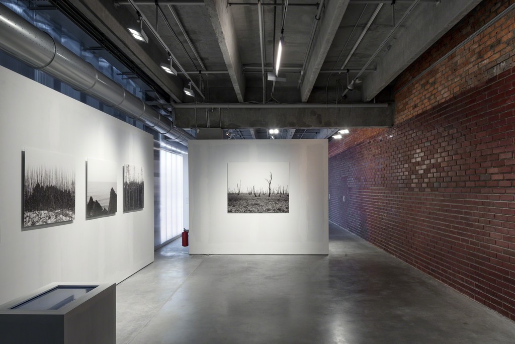 Fidelity to Place vector of Garage Triennial of Russian Contemporary Art
Photo: Alexey Naroditskiy
© Garage Museum of Contemporary Art Fidelity to Place vector of Garage Triennial of Russian Contemporary Art
Photo: Alexey Naroditskiy
© Garage Museum of Contemporary Art