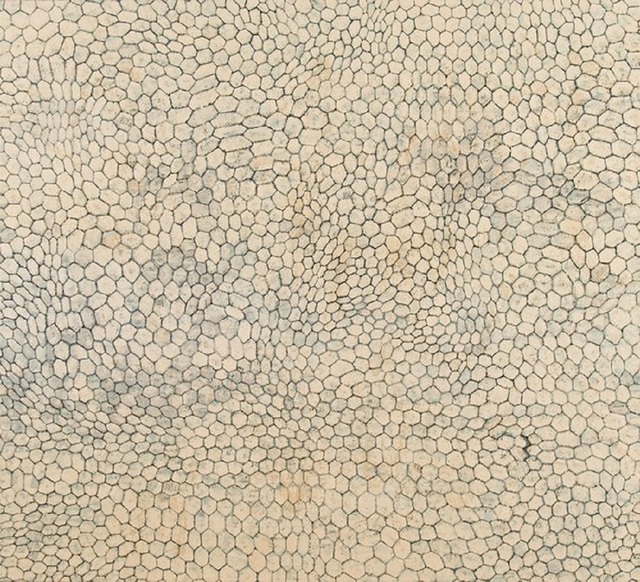 Paul Manes, ‘Bitter Honey’, Isabella Garrucho Fine Art