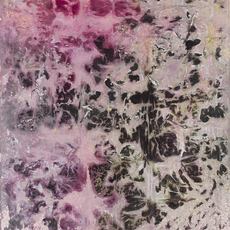 Adrian Schiess