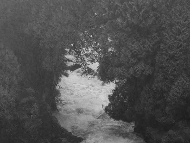 Ron Jude, ‘River’, 2017, Photography, Archival pigment print, Gallery Luisotti