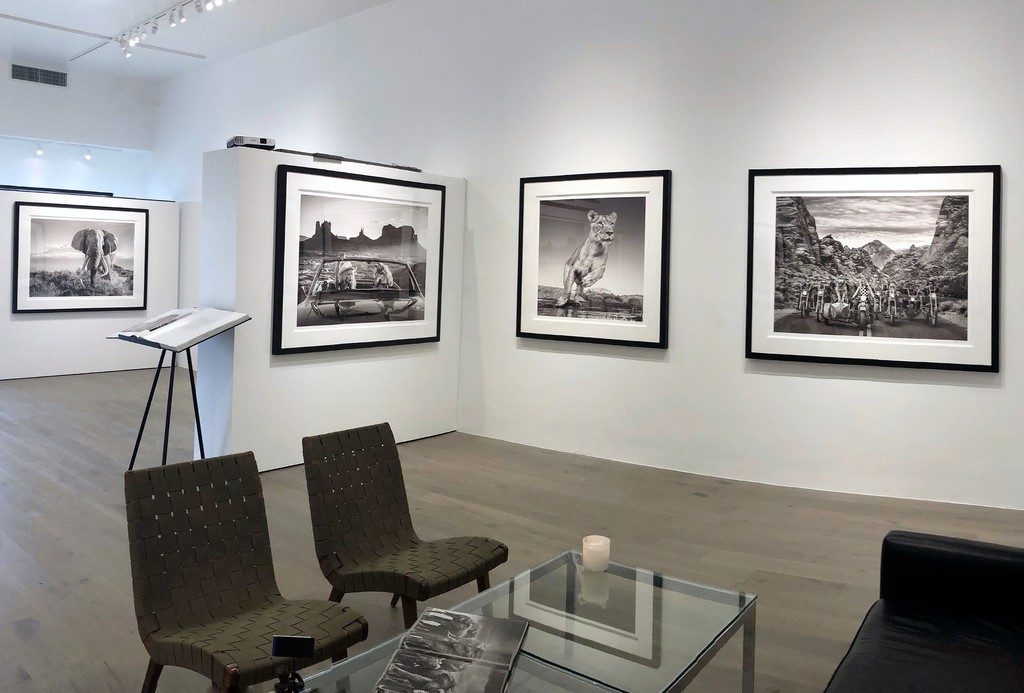 David Yarrow: Off Road & After Hours: Africa II, 2018; The Break Up, 2018; Emma, Dinokeng, South Africa, 2017; The Leader of the Pack, 2019 David Yarrow: Off Road & After Hours: Africa II, 2018; The Break Up, 2018; Emma, Dinokeng, South Africa, 2017; The Leader of the Pack, 2019