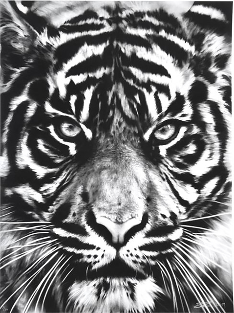 Robert Longo, ‘Tiger’, 2014, Print, Archival pigment print on wove paper, David Benrimon Fine Art