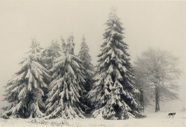 Pentti Sammallahti, ‘Petrohan, Bulgaria’, 2003, Peter Fetterman Gallery