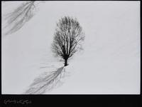 Photographie n° 29