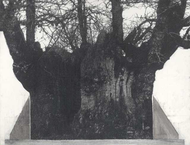 Patrick Van Caeckenbergh, ‘Drawing of old trees on wintry days during 2007-2014’, 2007-2014, Drawing, Collage or other Work on Paper, Pencil and paint on paper, Zeno X Gallery