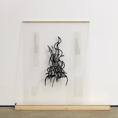 Sung Hwan Kim