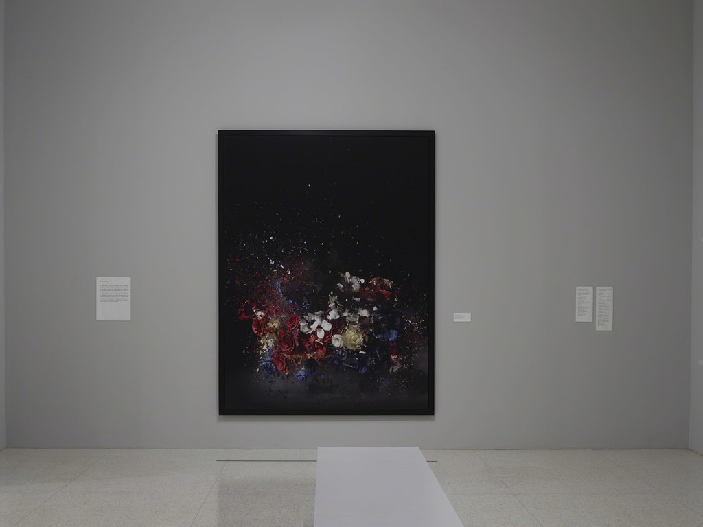 Installation view, “75 Gifts for 75 Years”, 2015 Installation view, “75 Gifts for 75 Years”, 2015