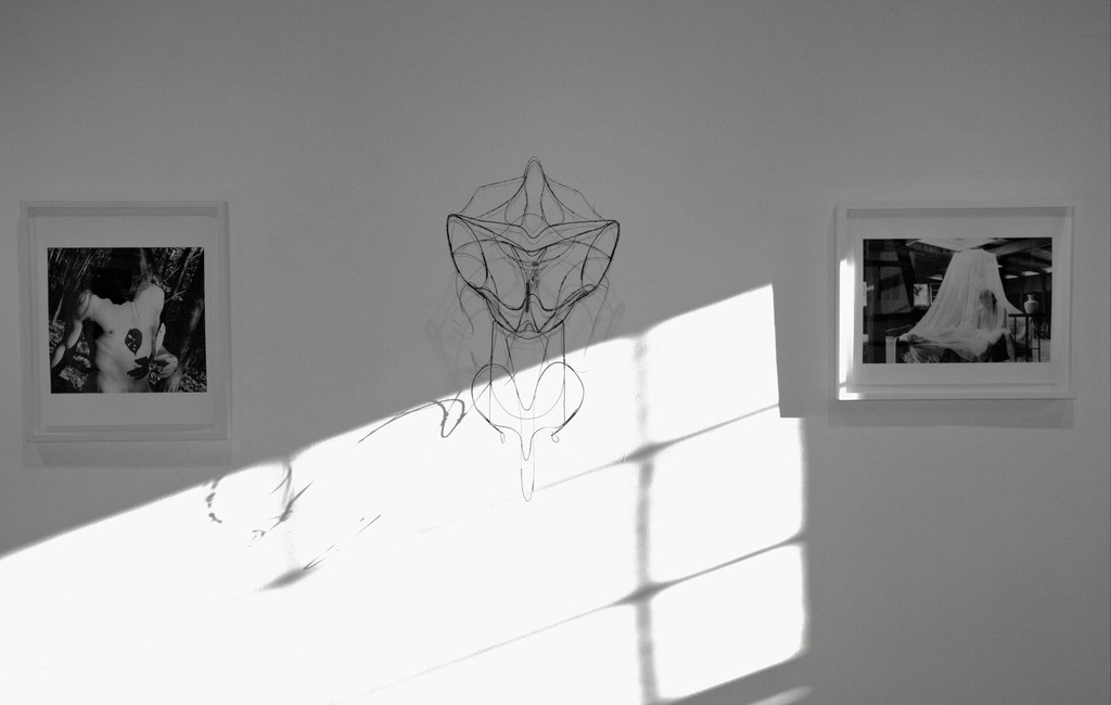 Installation view: including "Company- Self portrait" 1998, "Butterfly girl" 1995, and "Veil- Self portrait", 1994. Installation view: including "Company- Self portrait" 1998, "Butterfly girl" 1995, and "Veil- Self portrait", 1994.