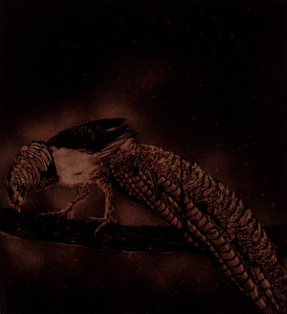 David Noonan, ‘Untitled (from the series They Became What They Beheld)’, 2004, Heritage Auctions