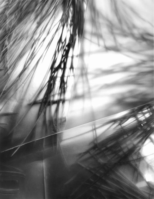 Rebecca Palmer, ‘A Glimpse, from the series Finding Light’, 2015, Photography, Archival Pigment Print, Circuit Gallery