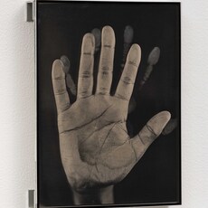 Martin d'Orgeval
