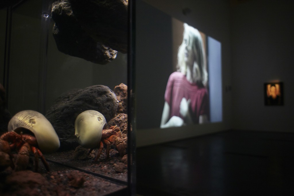 Pierre Huyghe at LACMA, 2015, Photo by Ola Rindal Pierre Huyghe at LACMA, 2015, Photo by Ola Rindal