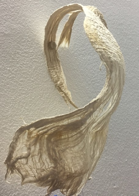 Rachel Muldez, ‘Face’, 2018, Sculpture, Mulberry bark, Ro2 Art