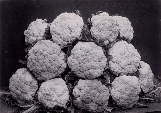Charles Jones, ‘Broccili Late Queen’, ca. 1990, Michael Hoppen Gallery