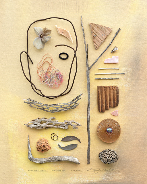 Meghan Crandall, ‘Pisces’, 2019, Print, Archival digital print on paper, Asher Grey Gallery