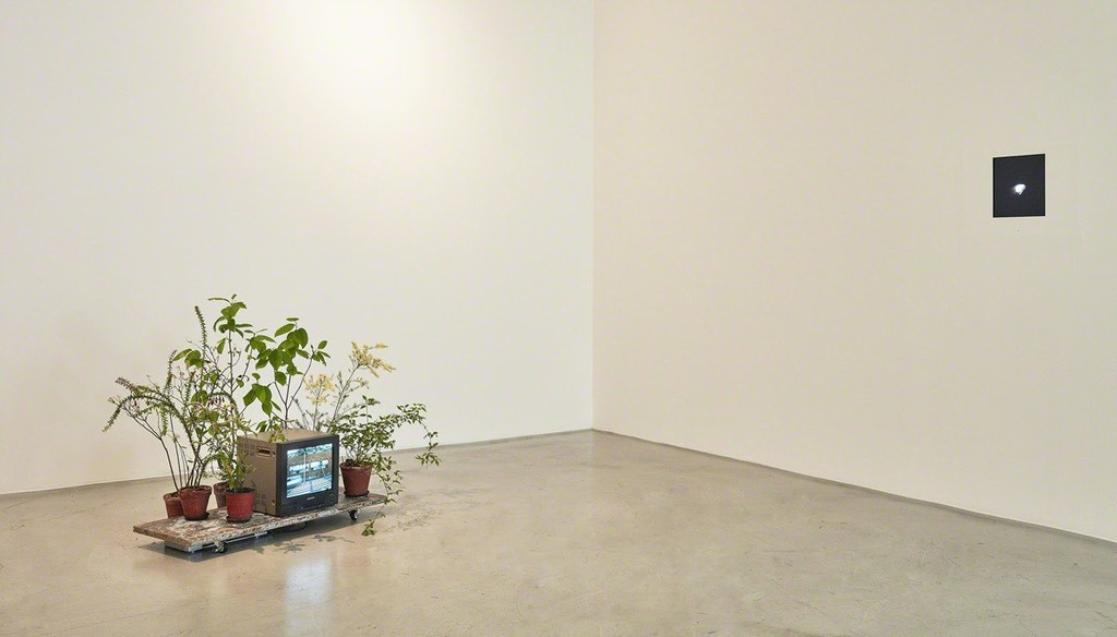 Installation view of In Praise of Inaction at Kukje Gallery K1
Photo: Keith Park
Image provided by Kukje Gallery Installation view of In Praise of Inaction at Kukje Gallery K1
Photo: Keith Park
Image provided by Kukje Gallery