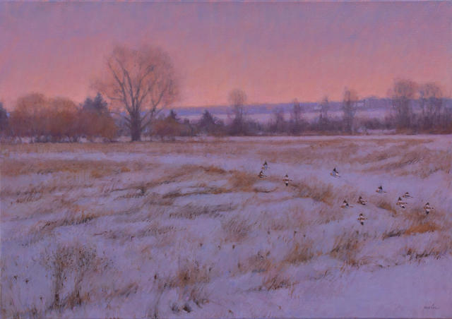 James Coe, ‘First Light’, 2017, Painting, Oil on Linen, Haley and Steele