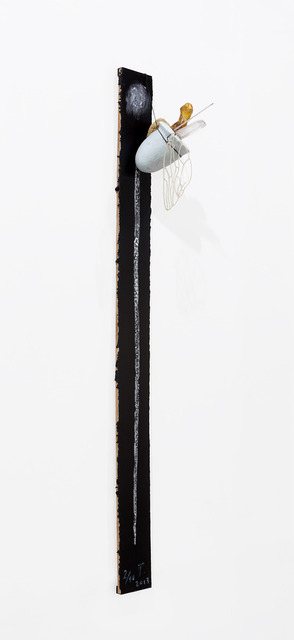 Tunga, 2013, Sculpture, Gesso, cristal, ambar, esponja e madeira, Mul.ti.plo Espaço Arte